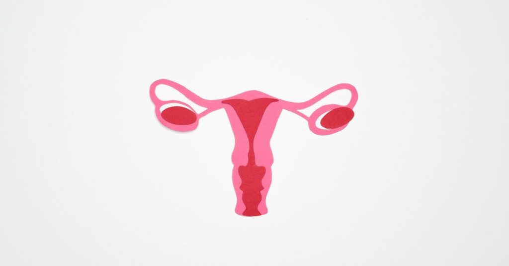 Minimalist graphic illustration of the female reproductive system in shades of pink on a white background.