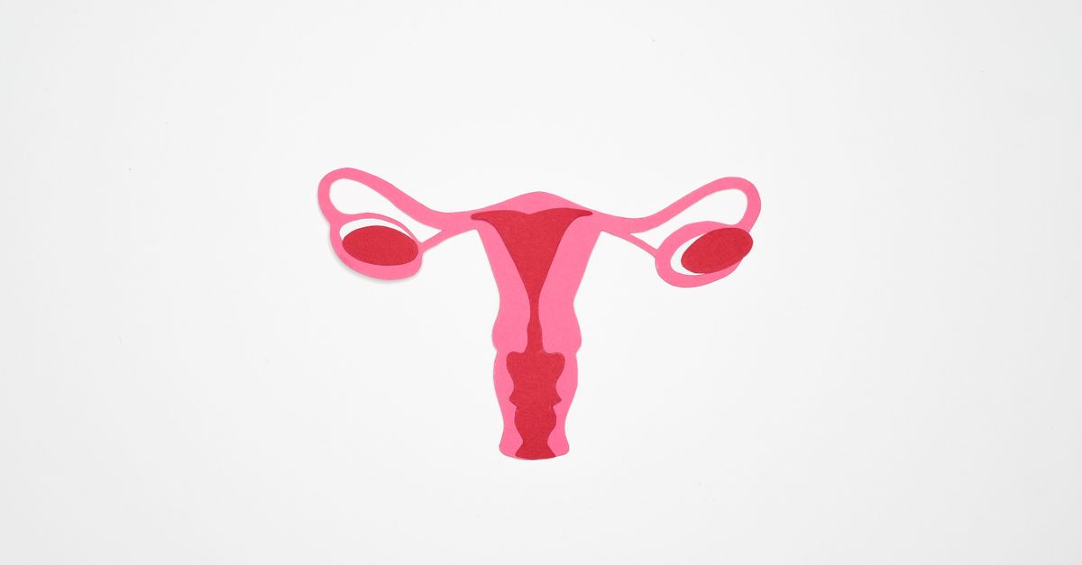Suffrage: A Eulogy to My Uterus